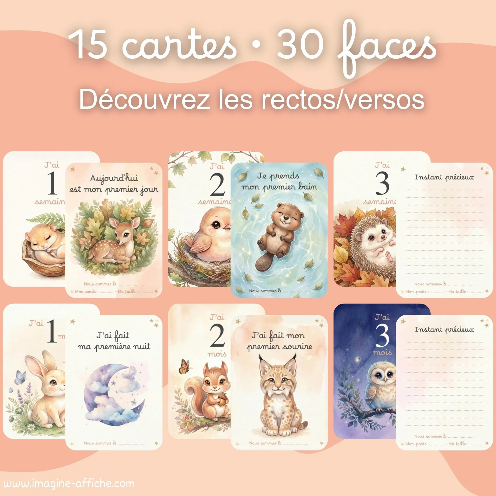 Cartes étapes bébé 0-12 mois Animaux de la forêt 15 cartes grand format 13x18 cm recto/verso Fabriqué en France