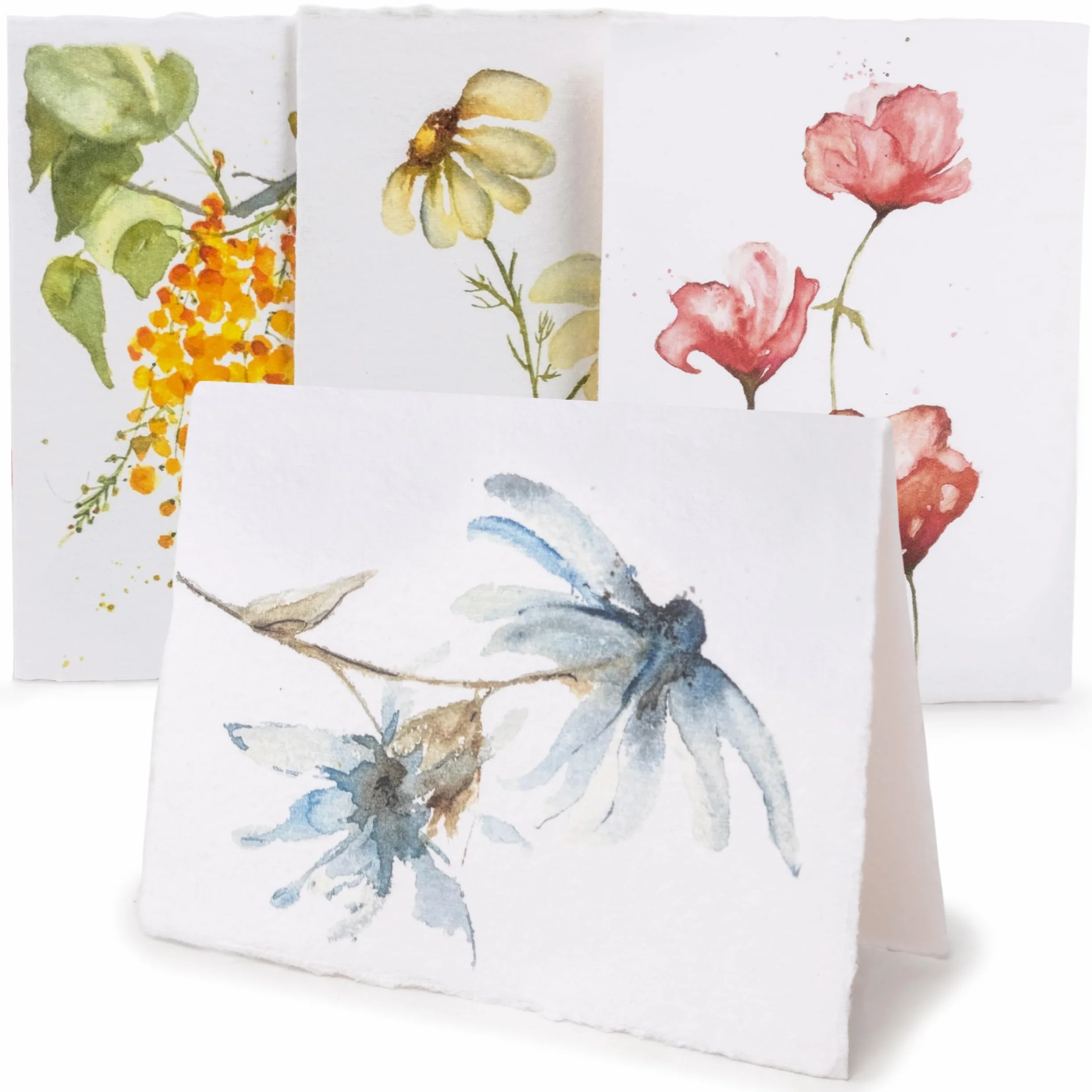 WANDERINGS Cartes de Vœux Vierges Artisanales 300 GSM 13x18 cm 20 Cartes avec Enveloppes Motifs Floraux
