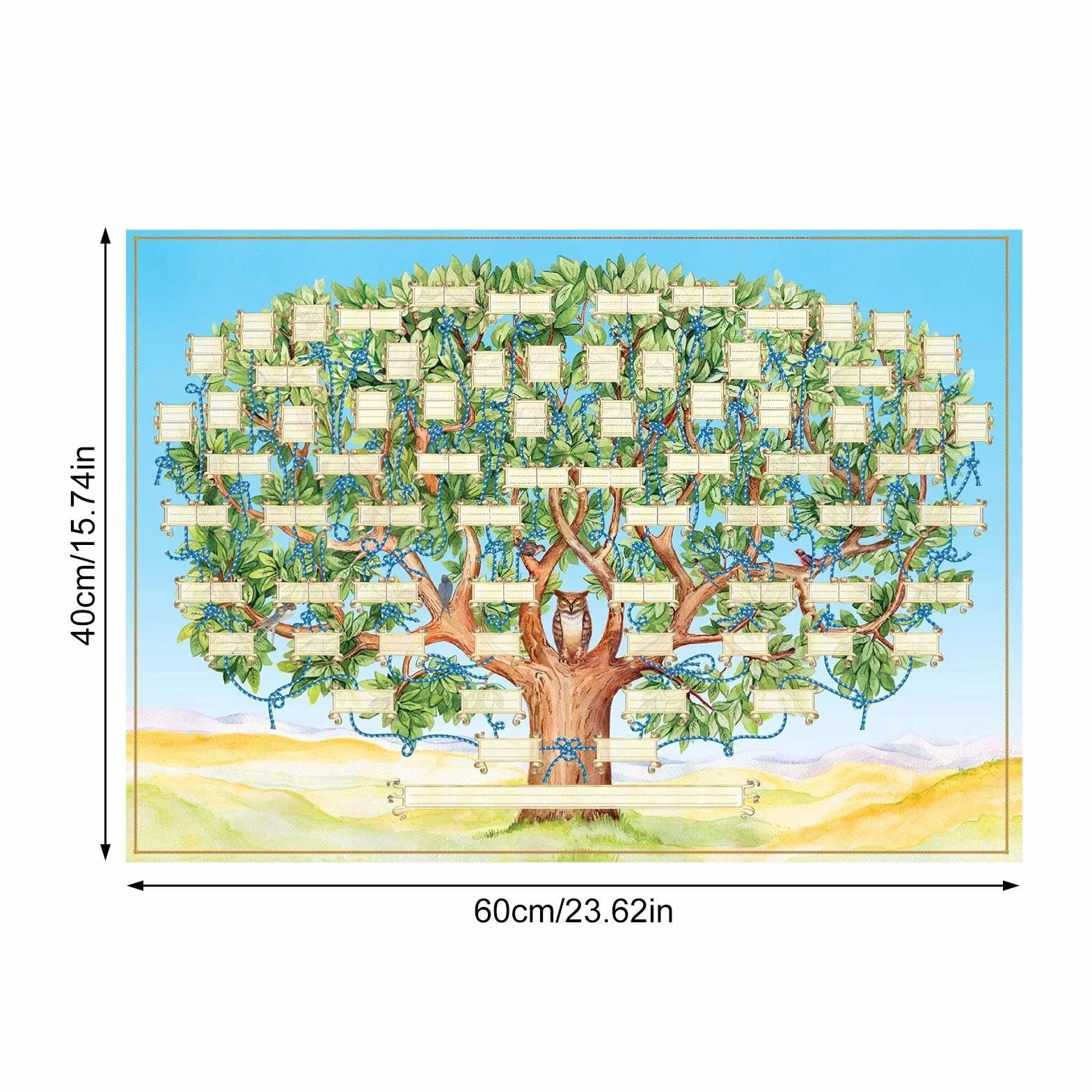 Tableau Arbre Généalogique 40x60cm Poster à Remplir
