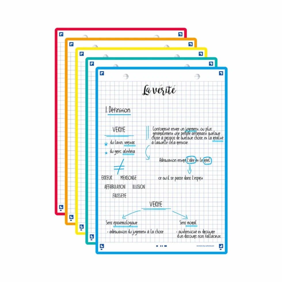 OXFORD Lot de 50 Fiches bristol A5 petits carreaux Recto/Verso Couleurs Assorties