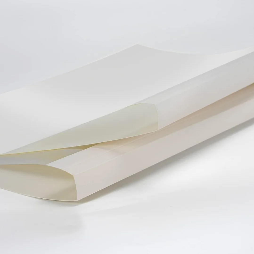 RAYSON Couvertures de Reliure Thermique A4 100 Feuilles 12 mm Blanc Paquet de 25