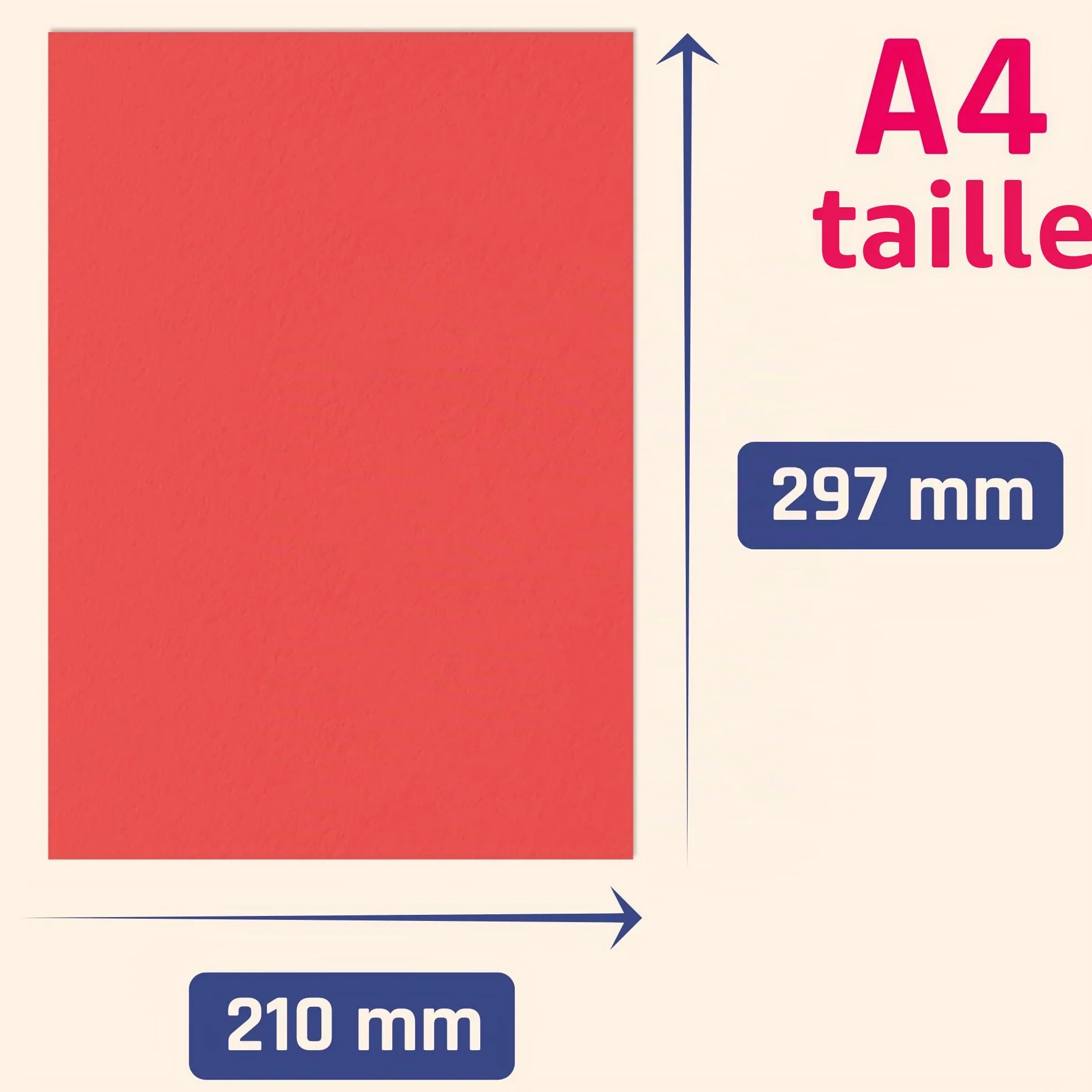 TownStix Papier Couleur Cartonné A4 120 g/m² 10 Couleurs 100 feuilles
