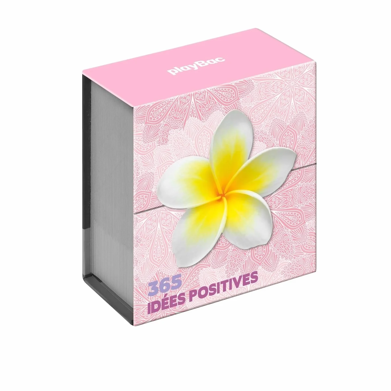 Mini calendrier 365 Idées positives